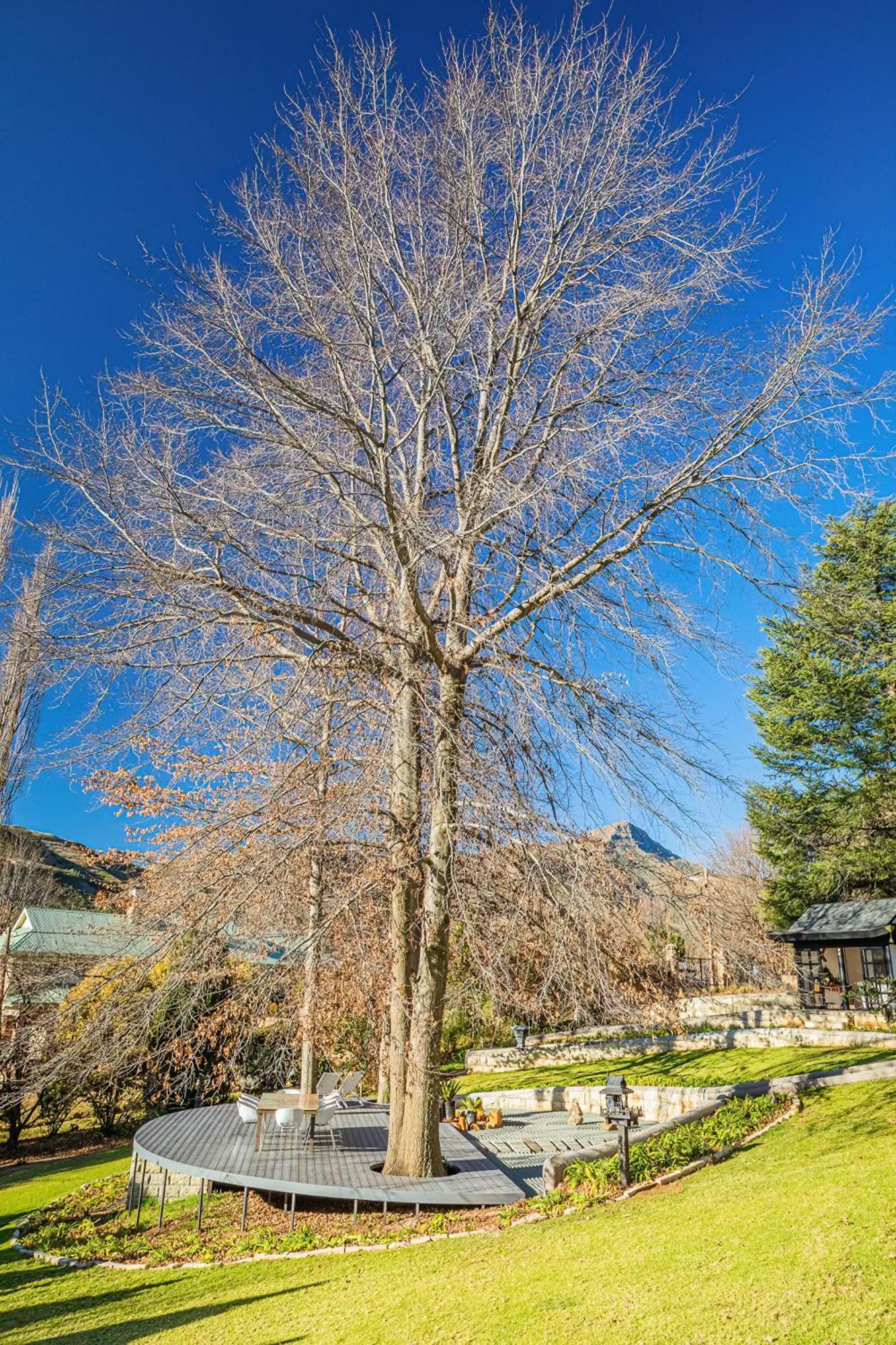 Titanic View - Place Of Peace Clarens Exterior photo